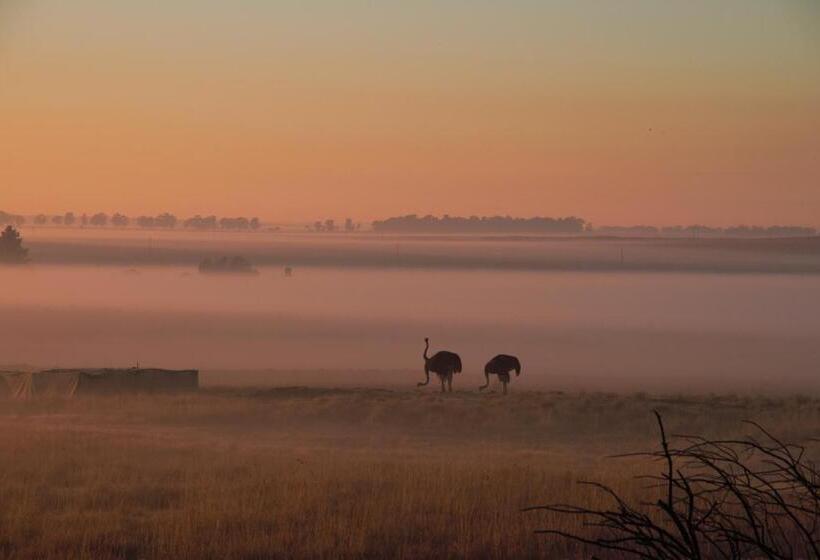Пансион Grasslands Conference And Wedding Venue