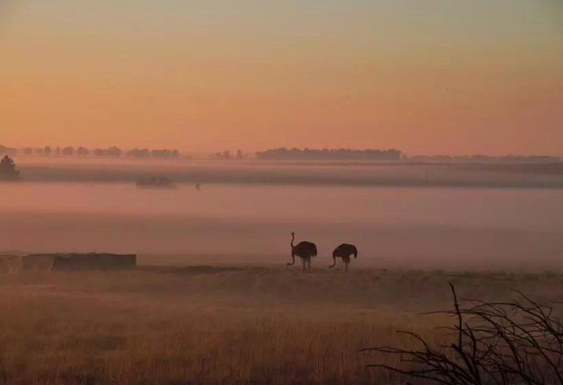 Majatalo Grasslands Conference And Wedding Venue