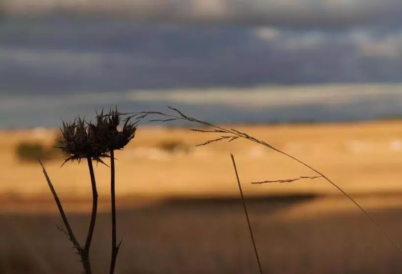 Majatalo Grasslands Conference And Wedding Venue