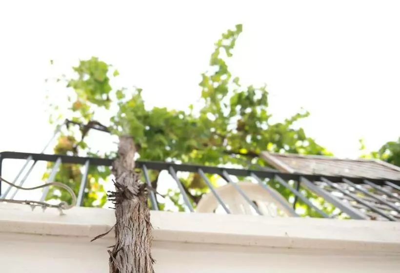 ペンション Palazzo Pace