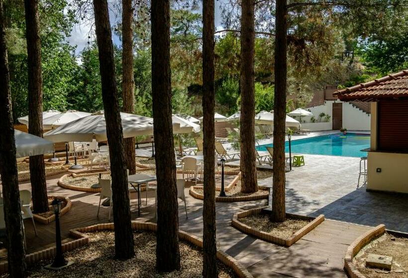 Platres Valley Houses