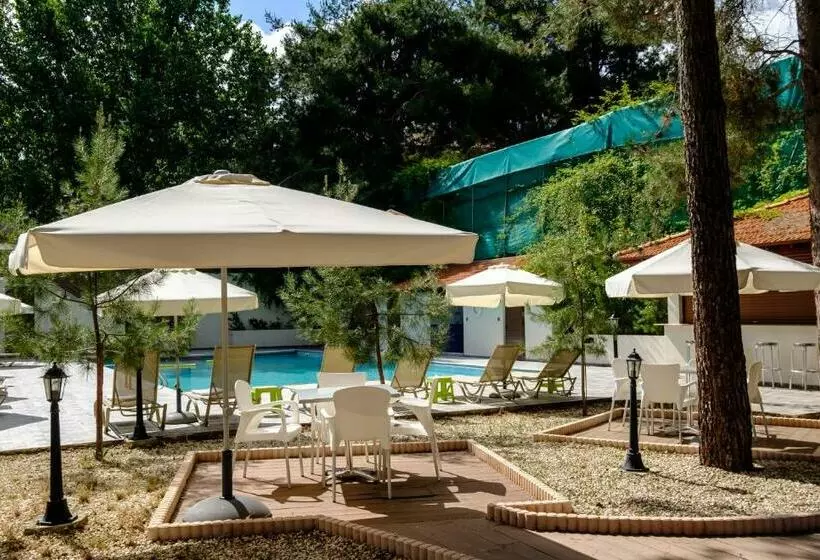 Platres Valley Houses