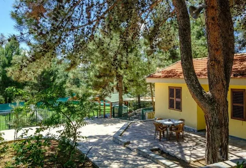 Platres Valley Houses