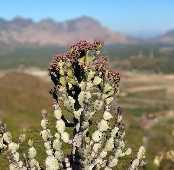 استراحتگاه Jing Jo Boutique Bungalow