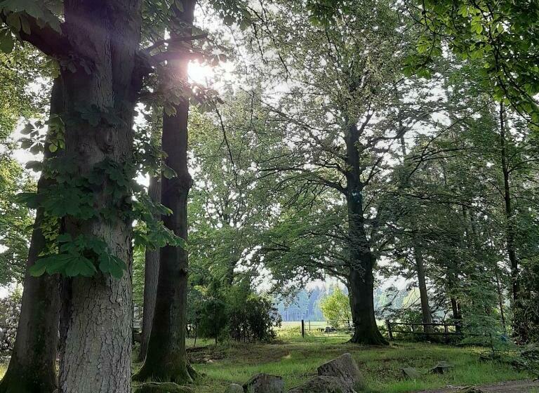 ユースホステル Pension Im Rehwinkel