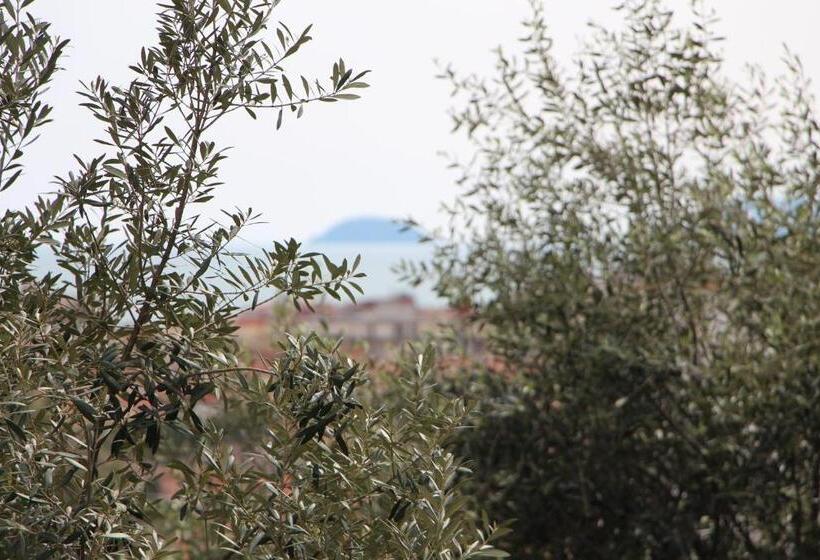 تختخواب و صبحانه Bb Cà De Mâ