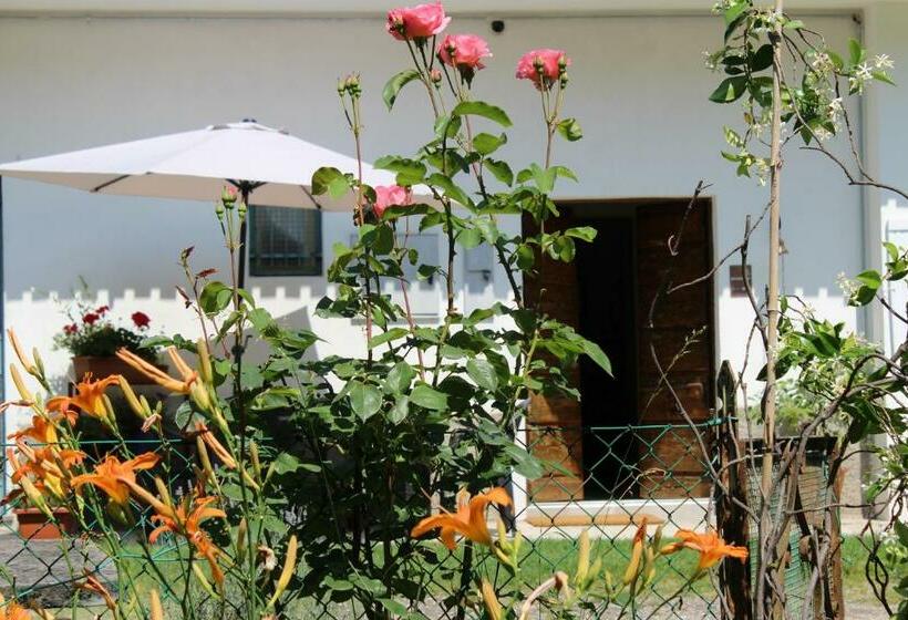 민박 Il Casolare Del Medio Olona