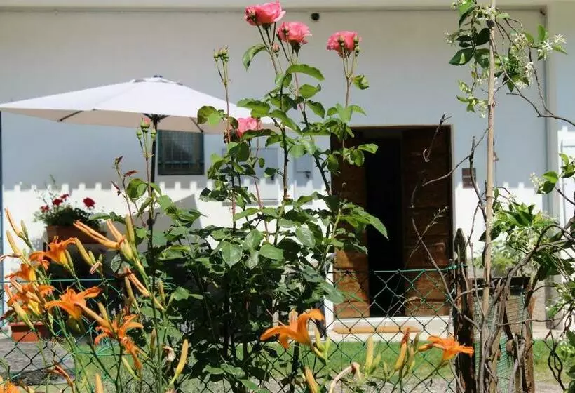 Aamiaismajoitus (B&B) Il Casolare Del Medio Olona