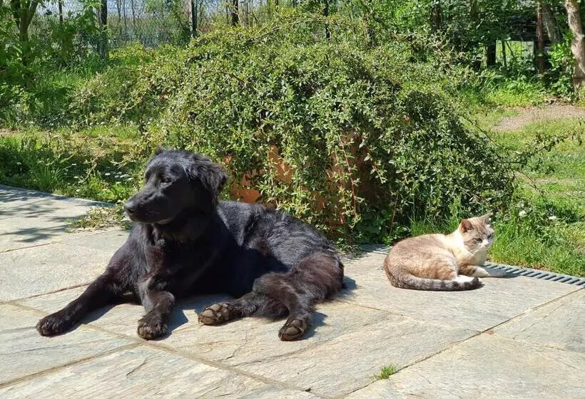 Aamiaismajoitus (B&B) Il Casolare Del Medio Olona