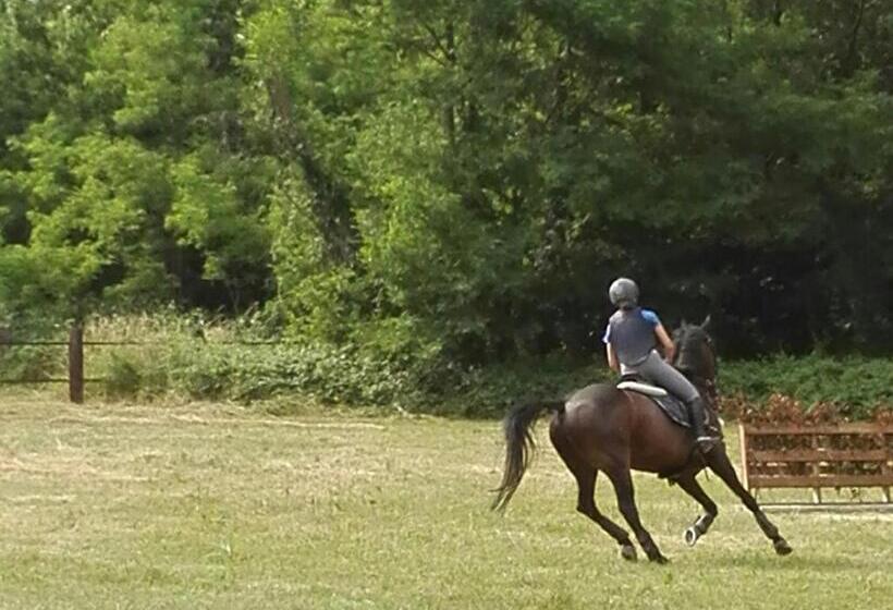 민박 Il Casolare Del Medio Olona