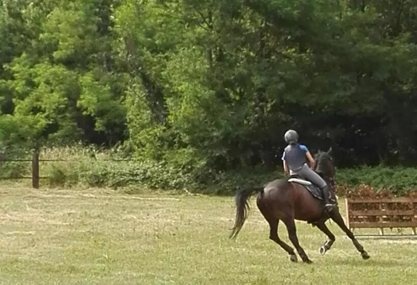 Aamiaismajoitus (B&B) Il Casolare Del Medio Olona