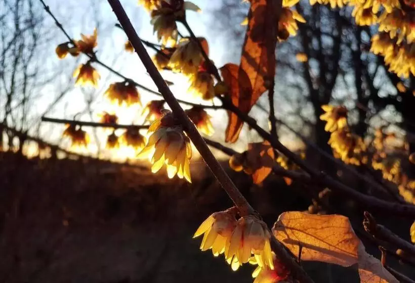 Aamiaismajoitus (B&B) Il Casolare Del Medio Olona