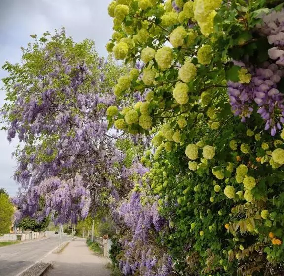 Aamiaismajoitus (B&B) Lovely Casa Paola Villlafranca Centro Zimmer Rooms