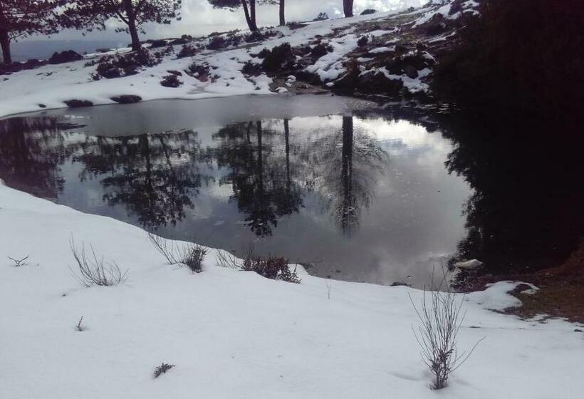 هتل Casa Do Pereiro