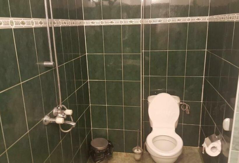 בית מלון כפרי Sachaka