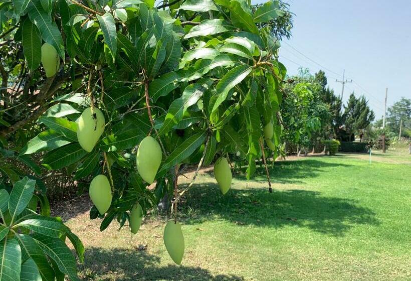 리조트 Baan Maikhiangphu Wang Nam Khiao