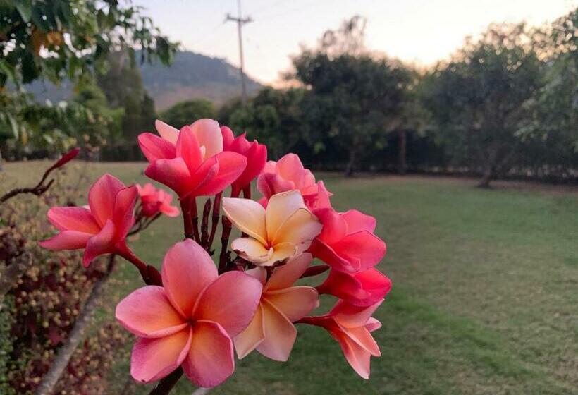 리조트 Baan Maikhiangphu Wang Nam Khiao