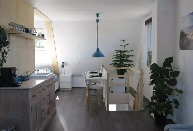 B&b Zonnedael