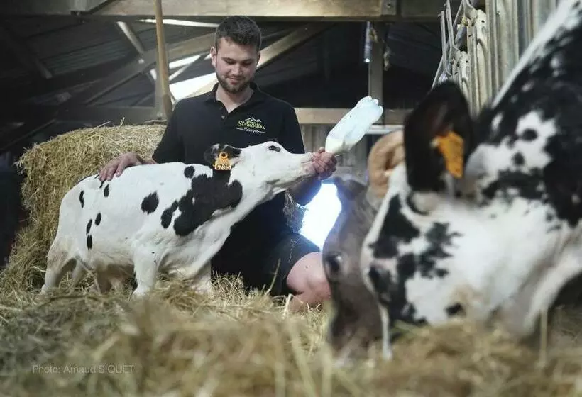 ベッドアンドブレックファースト Ferme St Martin