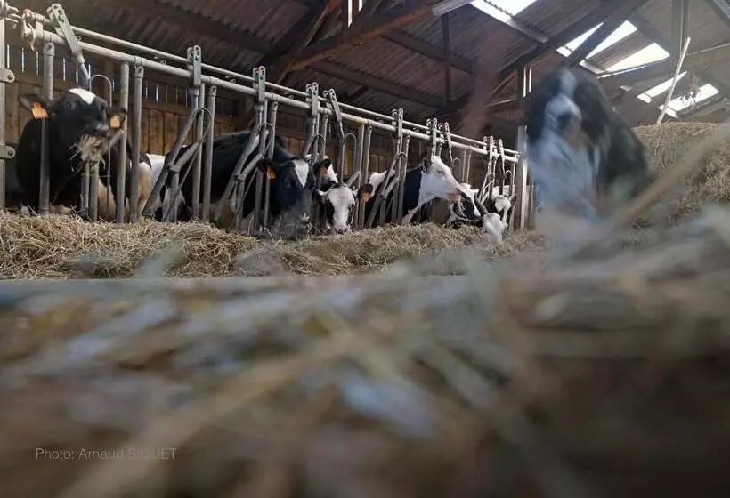 ベッドアンドブレックファースト Ferme St Martin