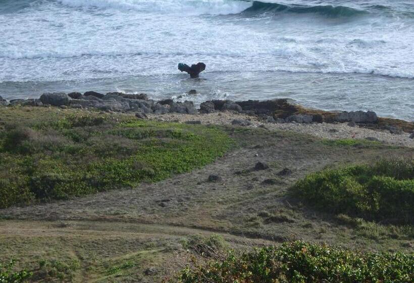 تختخواب و صبحانه La Marine