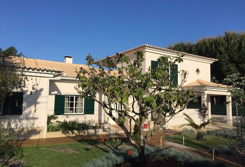 بنسيون Buganvilias Do Meco Guest House