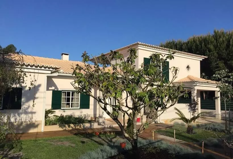 ペンション Buganvilias Do Meco Guest House