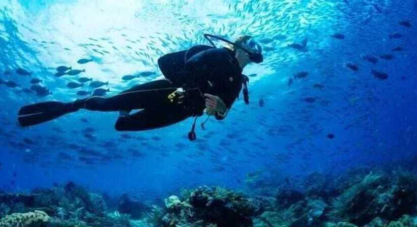 بنسيون Buganvilias Do Meco Guest House