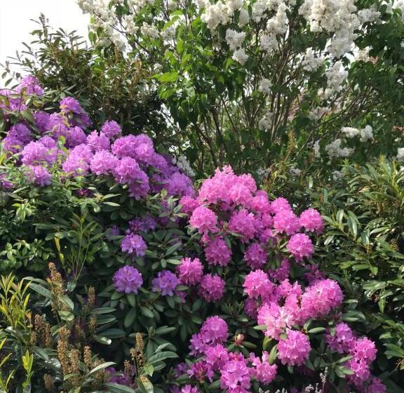 펜션 Gästehaus Steinmann Großes Gästezimmer