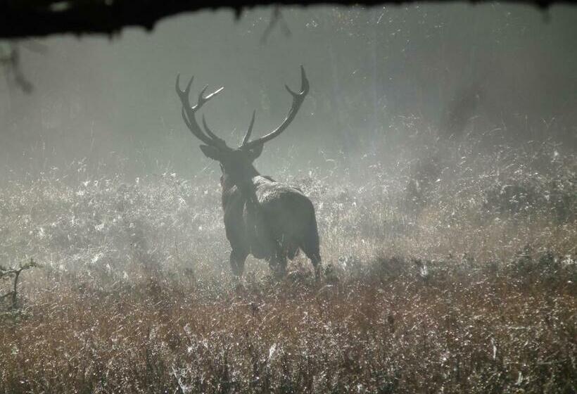 پانسیون Mas Du Cresponnet