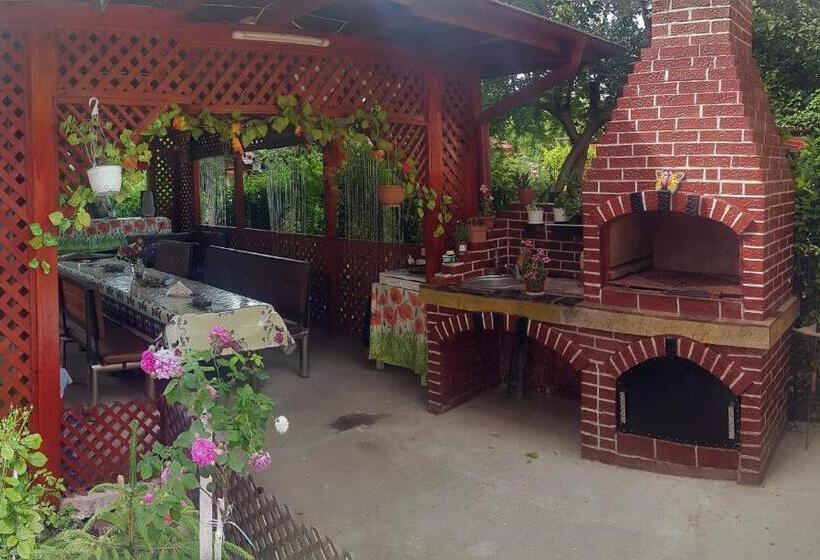 Pensiune Perla Dunarii