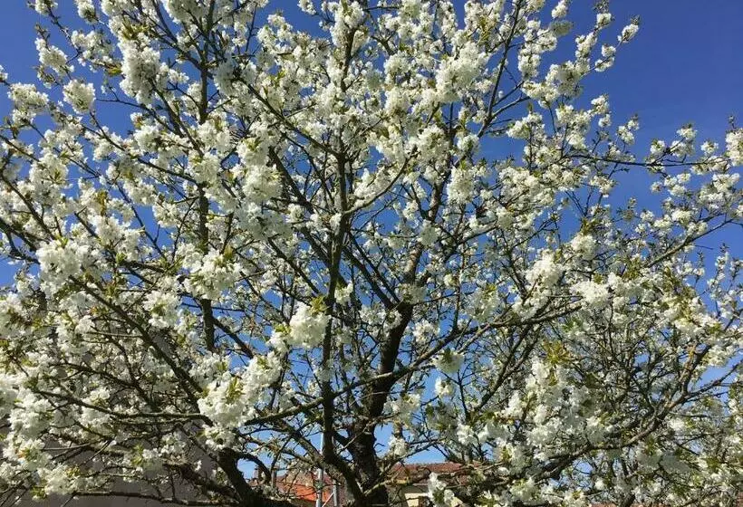 ベッドアンドブレックファースト Au Bord De La Dhuy