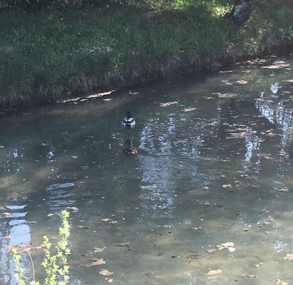 住宿加早餐 Au Bord De La Dhuy