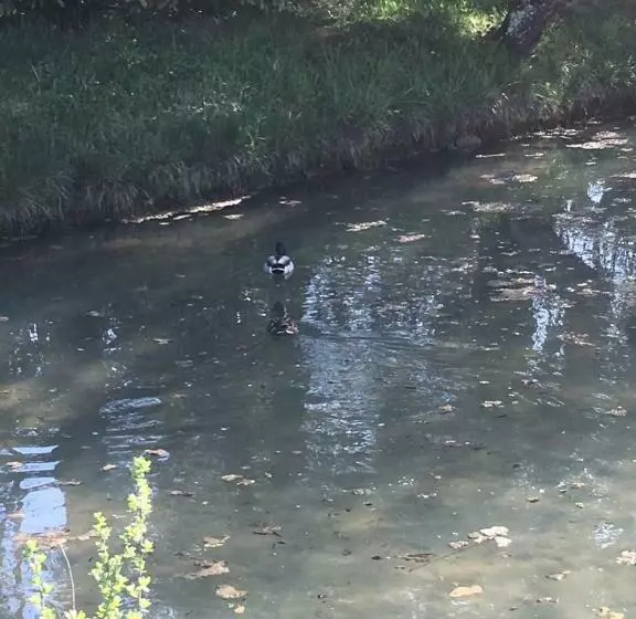 ベッドアンドブレックファースト Au Bord De La Dhuy