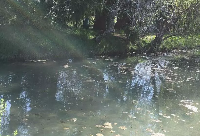 ベッドアンドブレックファースト Au Bord De La Dhuy