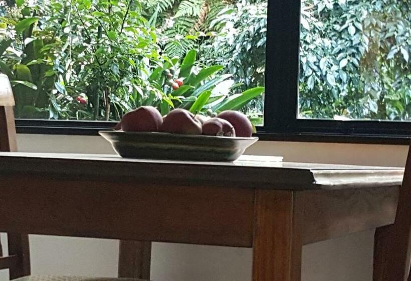 민박 Sequoia Steps