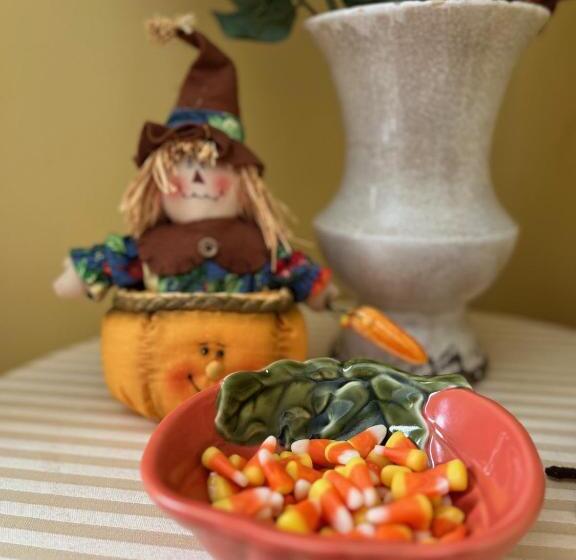 مبيت وإفطار The Wynne House Inn