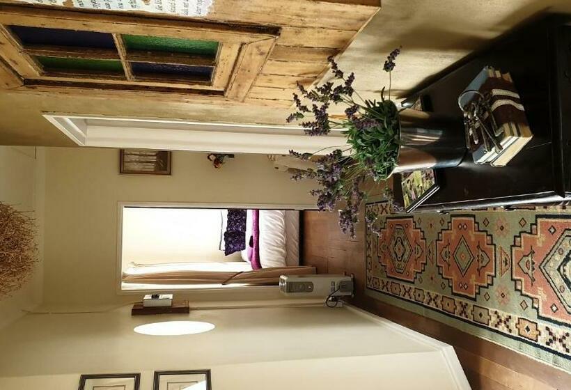 פנסיון Alien Inn