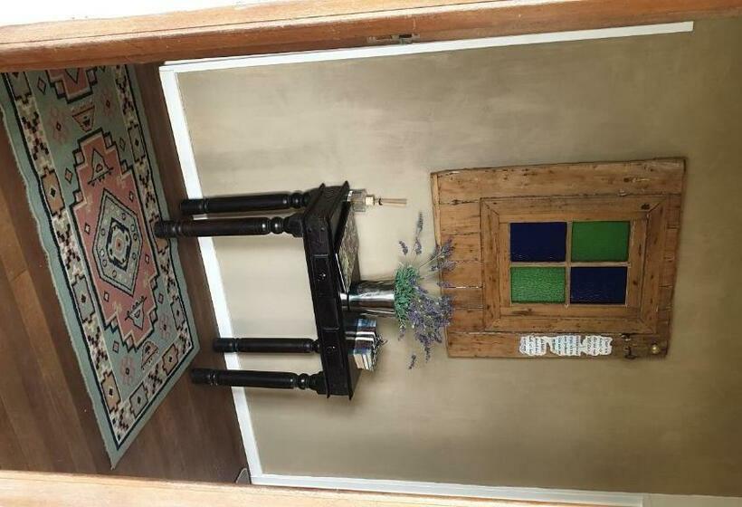 פנסיון Alien Inn