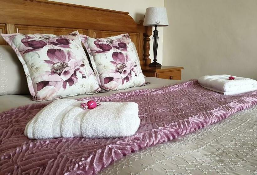 פנסיון Alien Inn