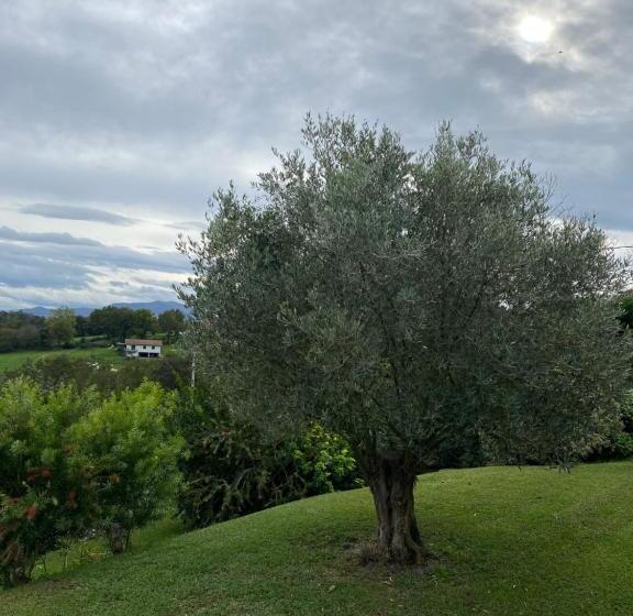 פנסיון Ama Lur