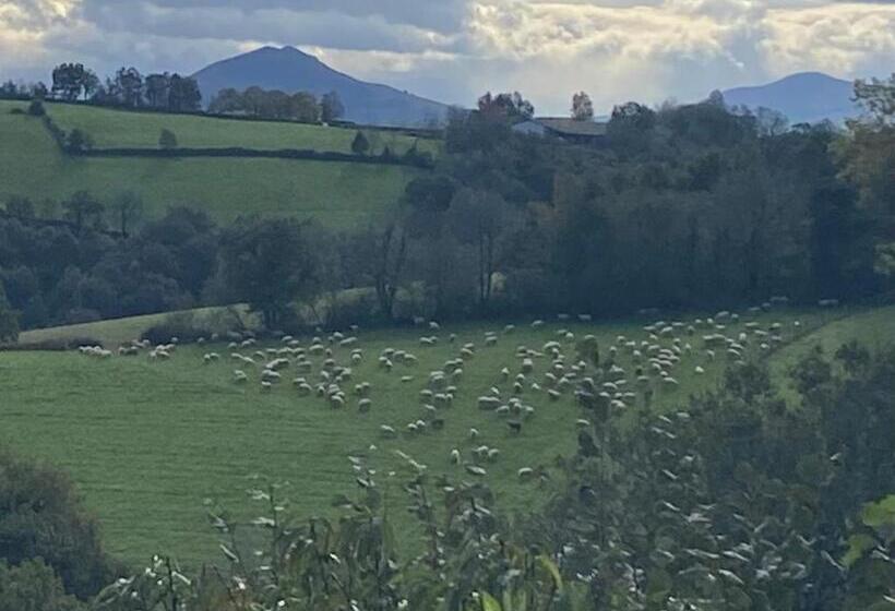 פנסיון Ama Lur