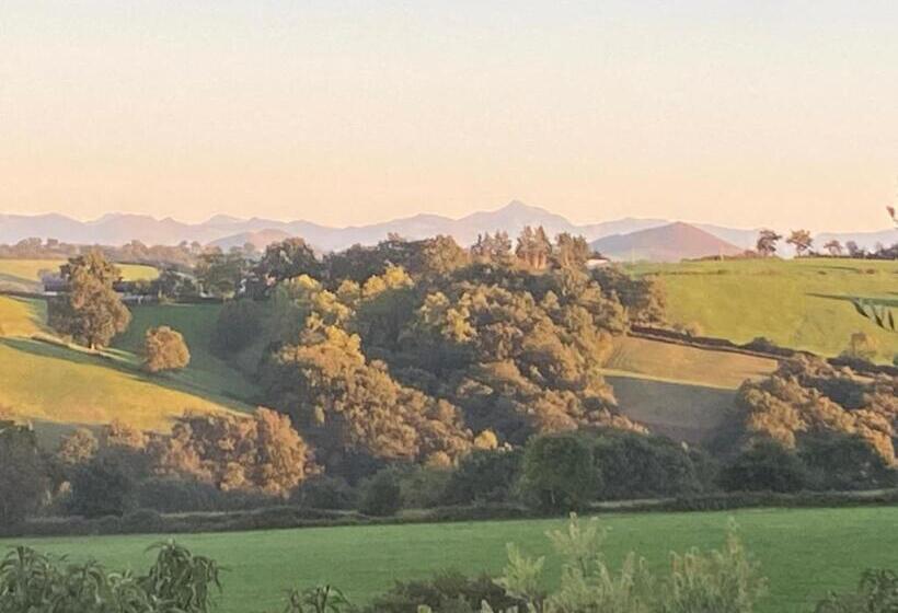 פנסיון Ama Lur