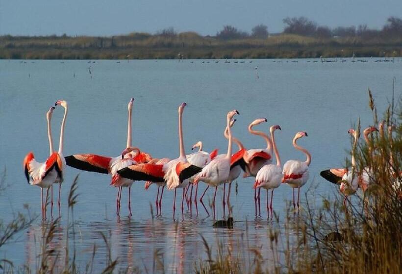 ペンション La Joliette