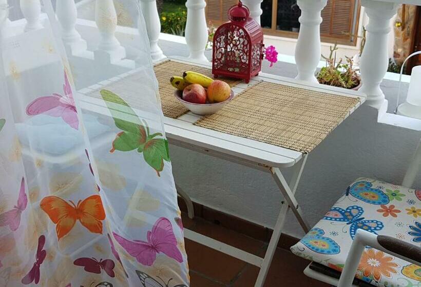 پانسیون Kalma Private Getaway 100m Ocean