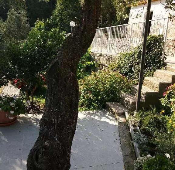 پانسیون Villa Patrizia
