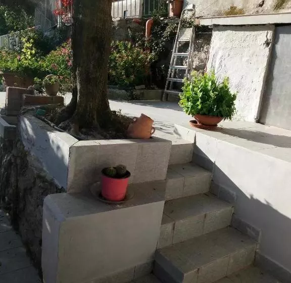 پانسیون Villa Patrizia