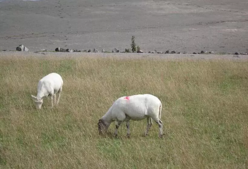 Hotelli Möllner Hof