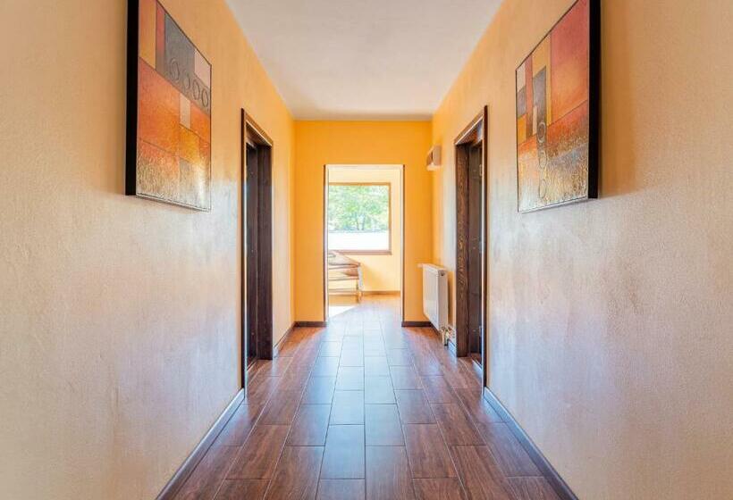 膳宿费 Casa Saraste