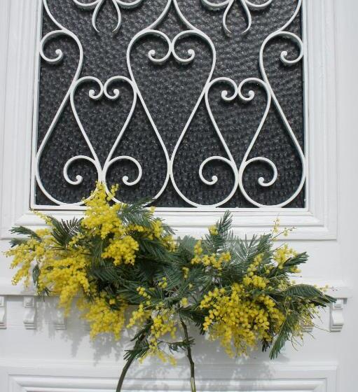 بنسيون La Maison Les Mimosas